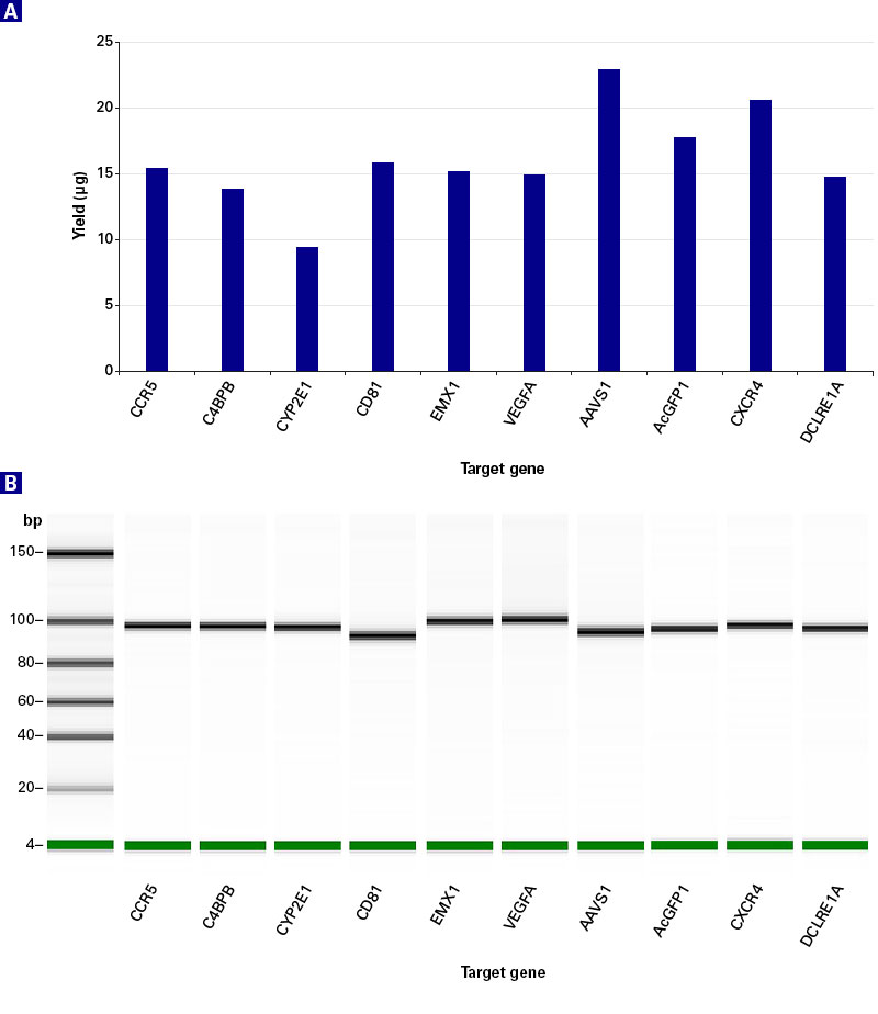 In Vitro Cleavage Efficiency Of Sgrnas Correlates With Functional